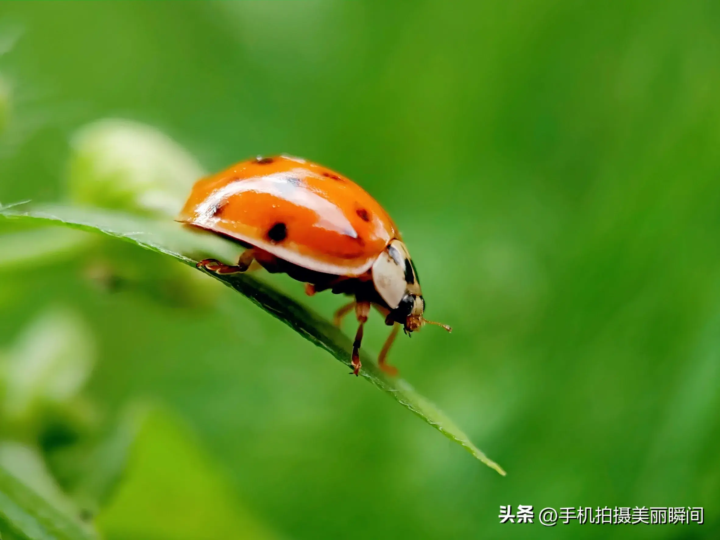 老夫妻相处模式_老年夫妻之间应该如何相处_老年夫妻相处场景