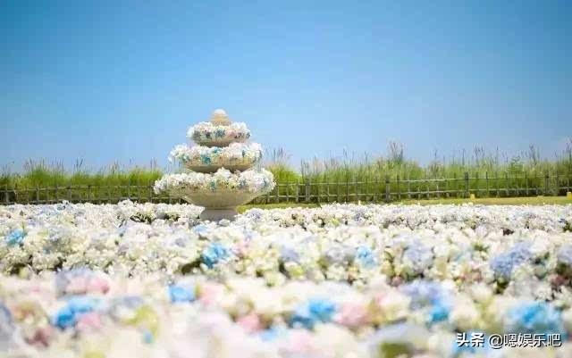 白纱室内实景花墙婚纱照_室内婚纱照布景_婚纱照室内背景素材