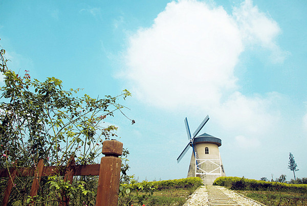 婚纱外景拍照姿势大全图片_婚纱照外景草_婚纱外景