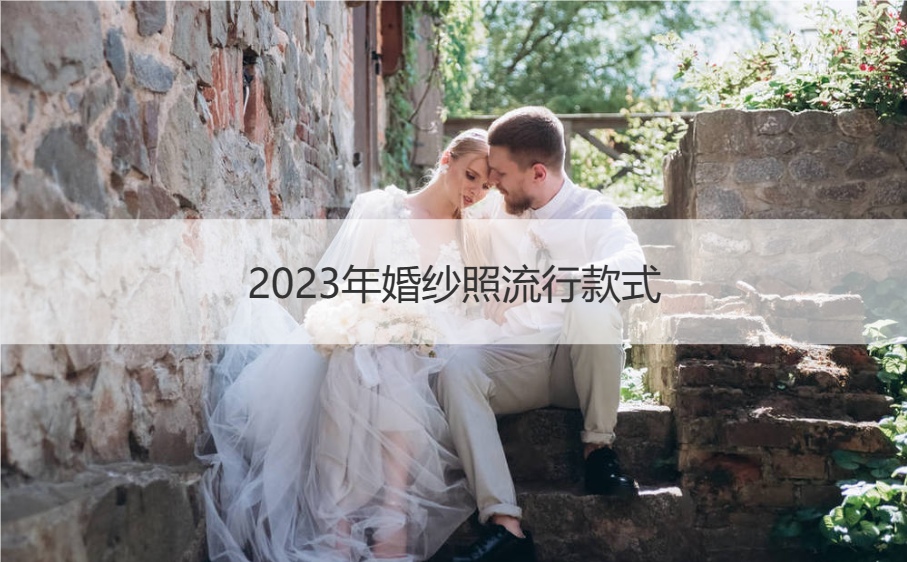 法式婚纱样片_法式婚纱的整体造型_婚纱照主纱实景法式图片